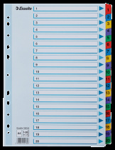 Rozdružovač Esselte plastový 1-20 barev + čísla A4 100163 foto