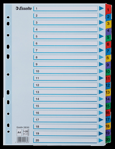 Rozdružovač Esselte plastový 1-20 barev + čísla A4 100163