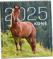 Kalendář nástěnný Aria G KN290 Koně 2025 foto