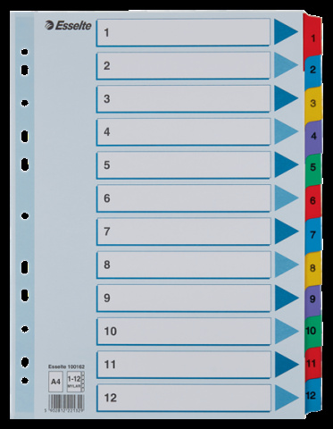 Rozdružovač Esselte 1-12 čísel A4 zesílené Mylar 100162