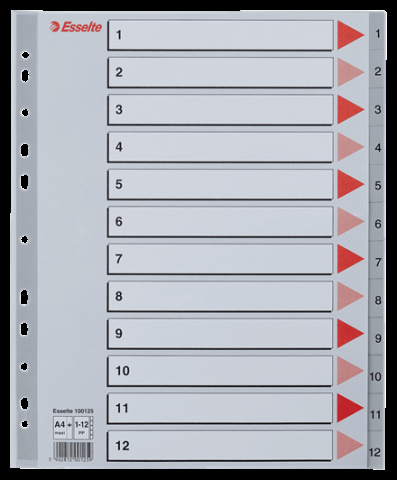 Rozdružovač Esselte plastový MAXI 1-12 čísel A4 100125